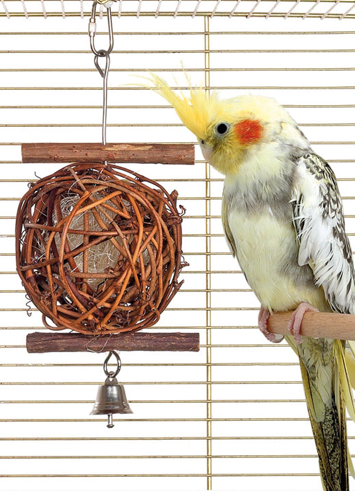 swisspet Wooden Bird Ball