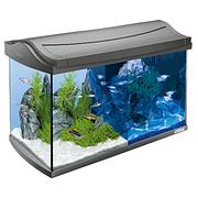 Tetra AquaArt Aquarium set LED Discover Line 60l, anthracite