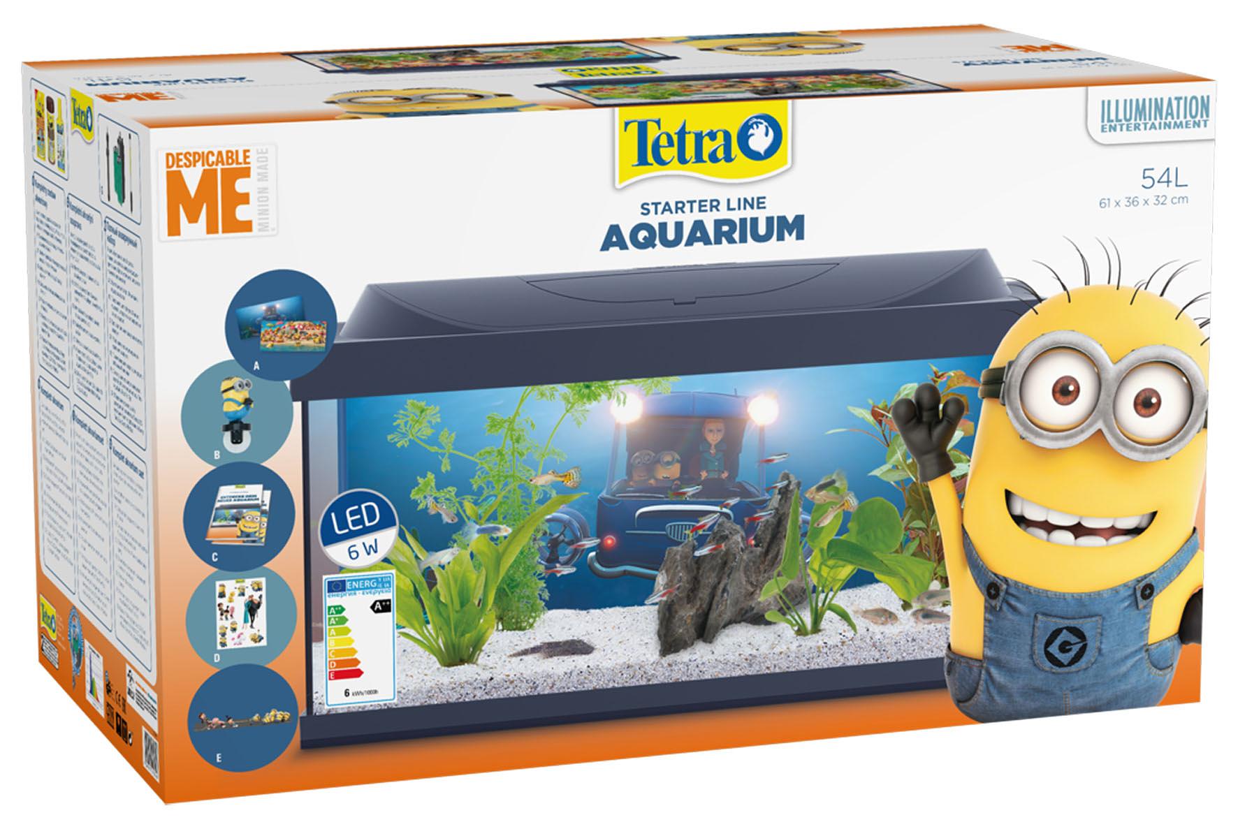 Tetra Minion Aquarium