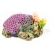 Amazonas Récif de corail violet