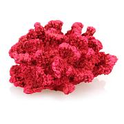Koralle rot KP015-2-085A, 11x10.2x6.3cm