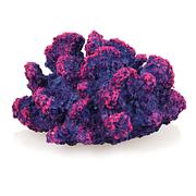 Corail violet KP015-2-085A, 9x9x5cm