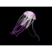 Amazonas méduse flottante, taille M: ø5cm, 15cm, rose vif