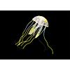 Amazonas méduse flottante, taille M: ø5cm, 15cm, jaune