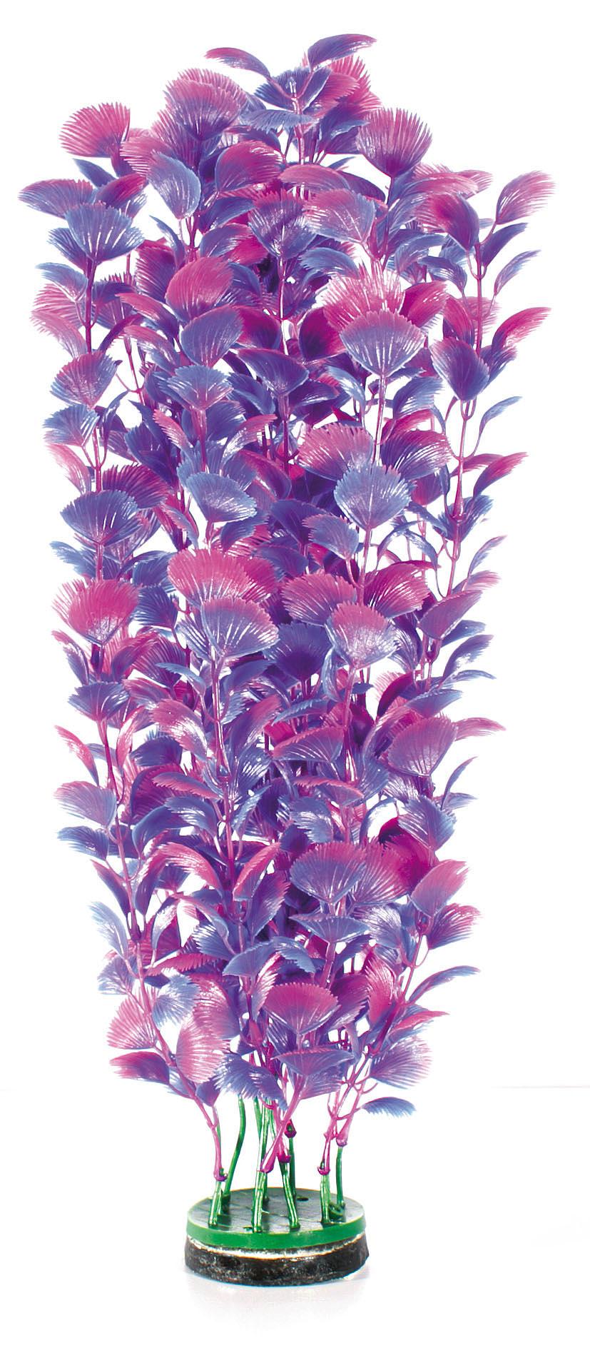 Amazonas Fantasy Plant M blau-violett