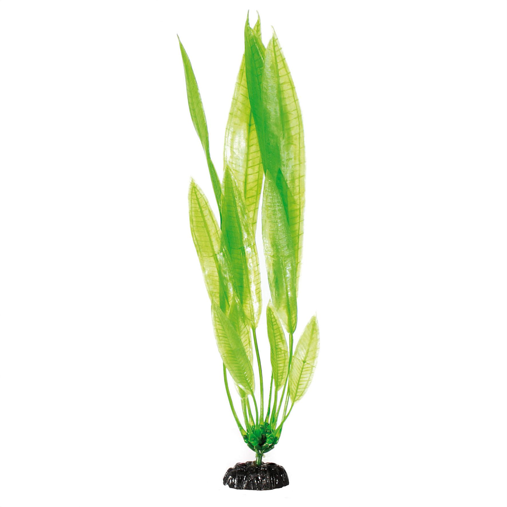 Amazonas Fantasy Plant E30 grün 30cm