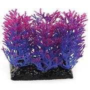 Amazonas Fantasy Plant PP violet-bleue