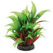 Amazonas Fantasy Plant QL verte-rouge