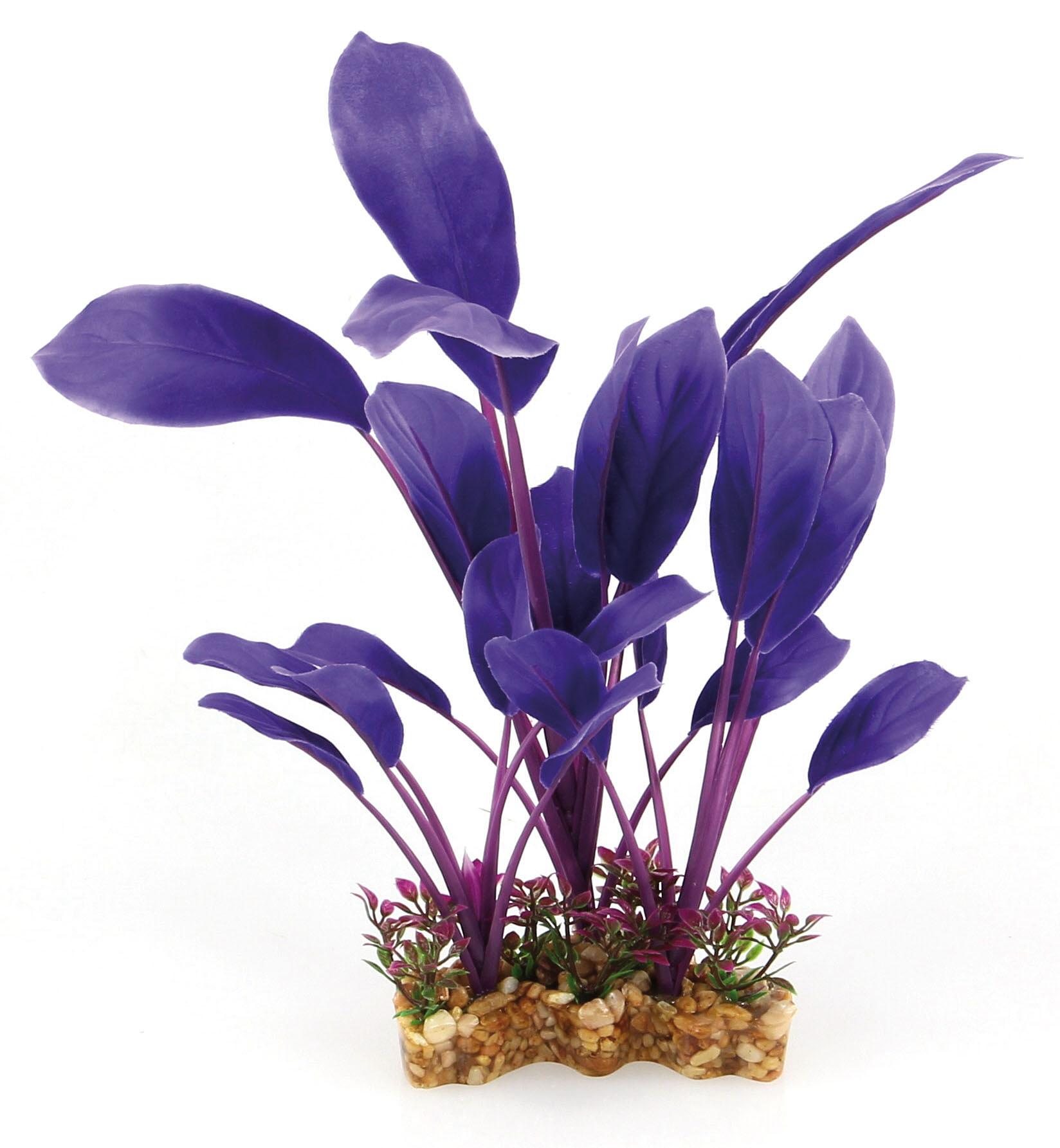 Amazonas Fantasy Plant VSB violett