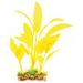 Amazonas Fantasy Plant VSB jaune