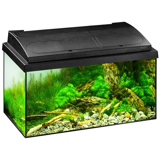 Eheim Aquarium online kaufen | petfriends.ch