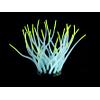 Amazonas plantes artificielles FLUO Sea-Anemone, bleu clair/jaune