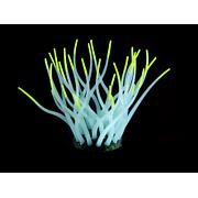 Amazonas plantes artificielles FLUO Sea-Anemone, bleu clair/jaune