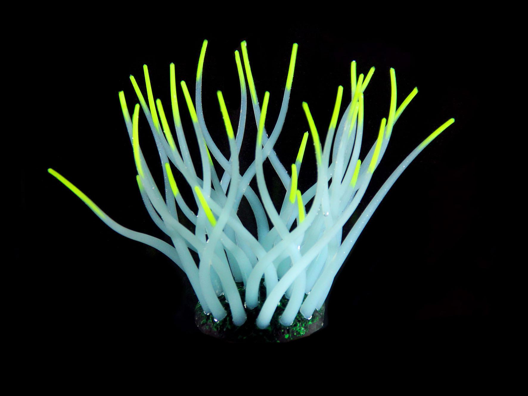 Amazonas plantes artificielles FLUO Sea-Anemone