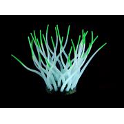 Amazonas plantes artificielles FLUO Sea-Anemone, bleu clair/vert