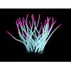 Amazonas Kunststoffpflanzen FLUO Sea-Anemone, hellblau/pink