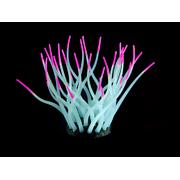 Amazonas Kunststoffpflanzen FLUO Sea-Anemone, hellblau/pink