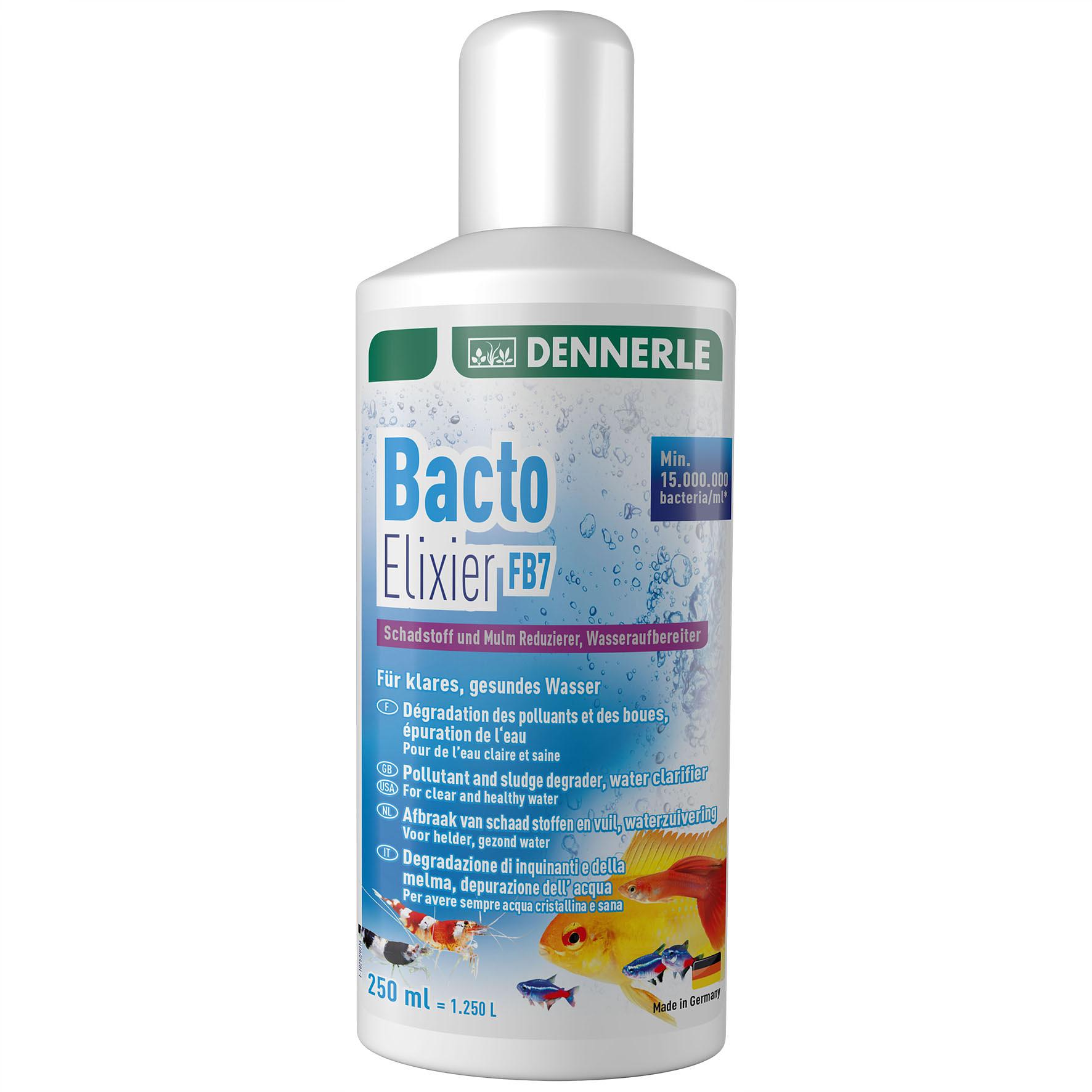 Dennerle FB7 Bacto Elixier - Bactéries de filtration pour aquarium