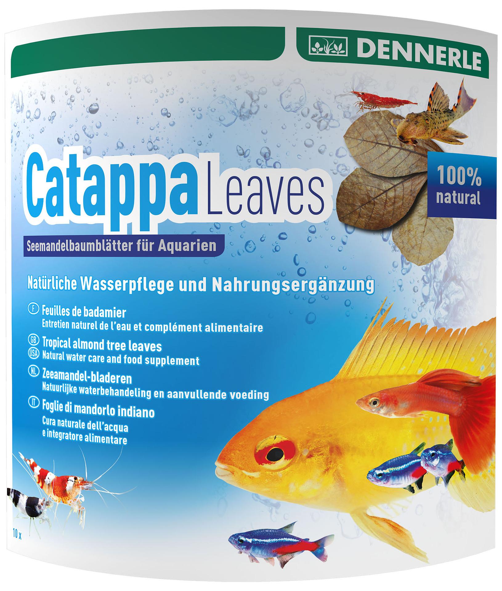 AquaRico Catappa Leaves – Seemandelbaumblätter 10 Stück für 800 Liter