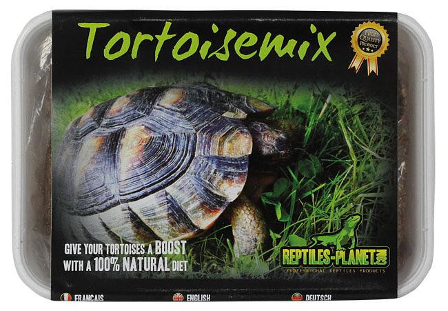 Reptiles-Planet Tortoisemix