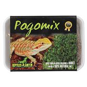 Reptiles-Planet Pogomix-Bartagamen