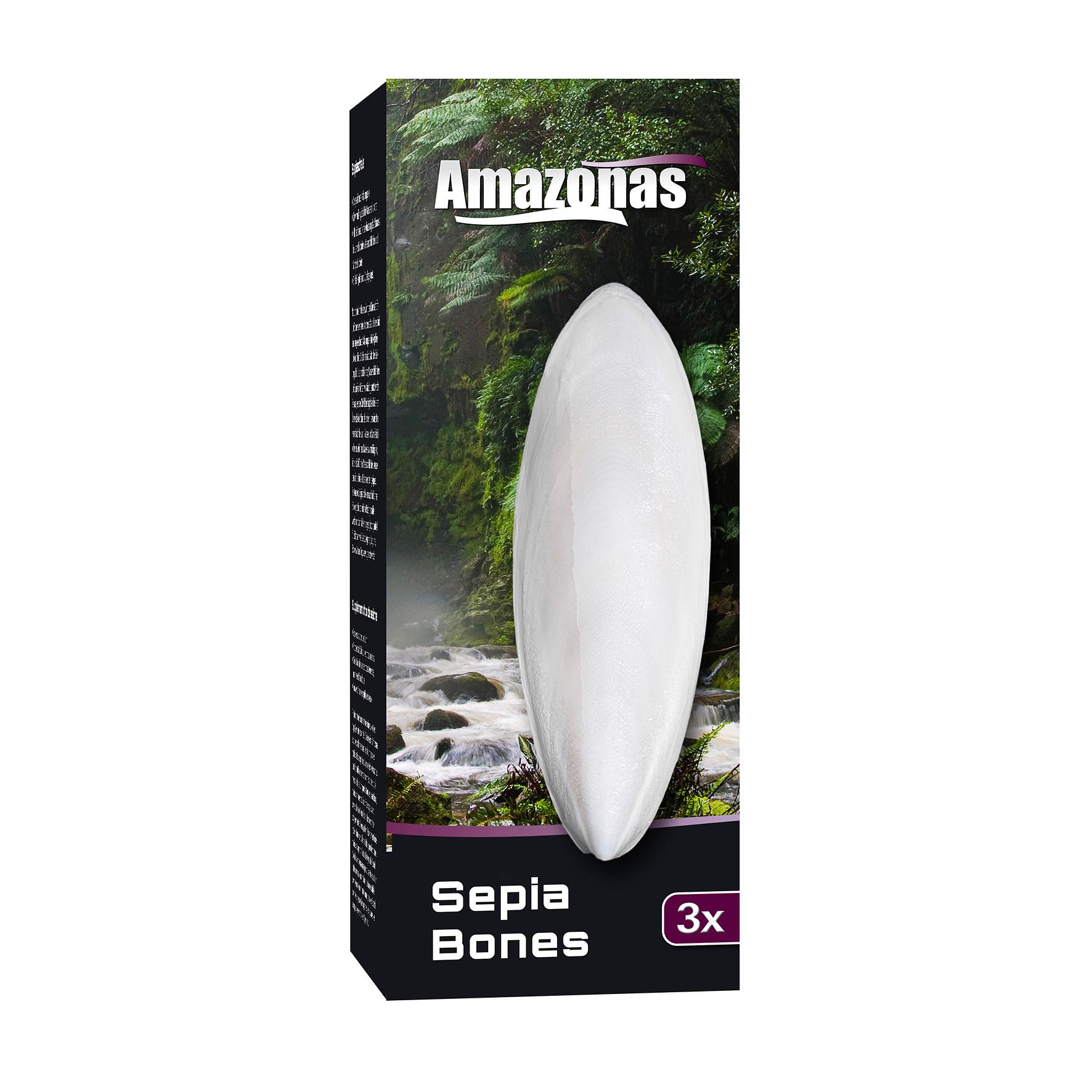 Amazonas Sepiaschale Sepia Bones