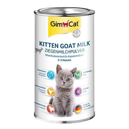 GimCat Herbe à Chat