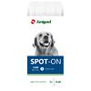 Amigard Spot-on pour chiens de taille moyenne, 3x4ml
