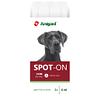 Amigard Spot-on pour grands chiens, 3x6ml