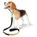 swisspet Hunde-Leuchthalsband und Hundeleine Fluo, gelb
