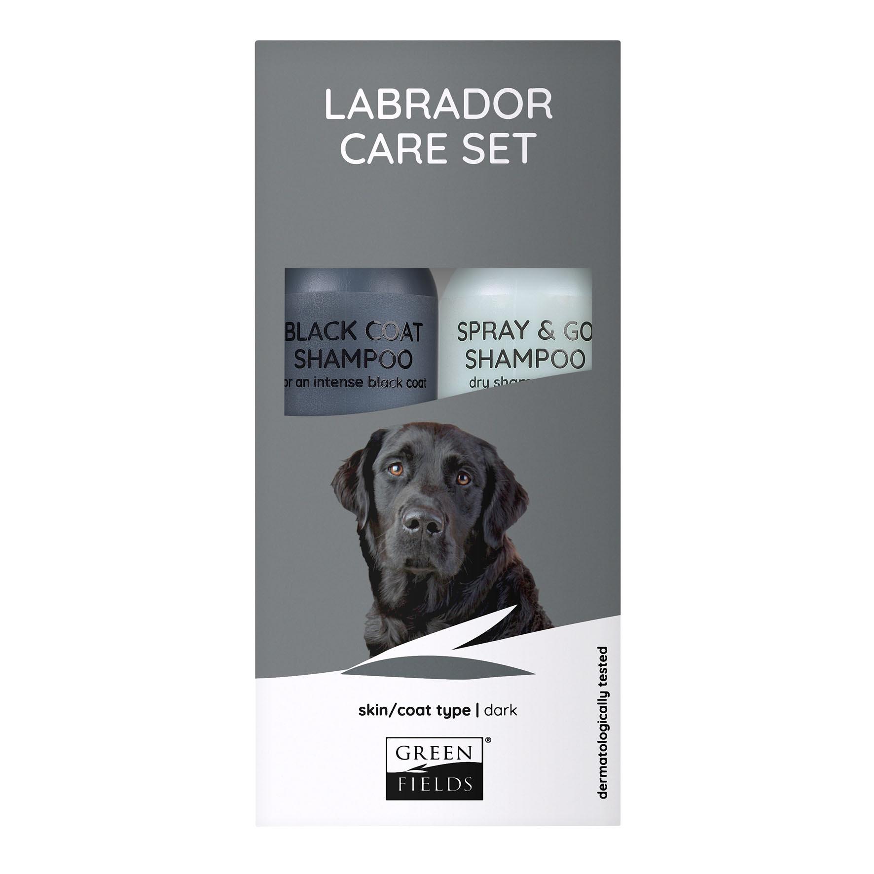 Greenfields Dog Labrador Care Set 2x 270ml