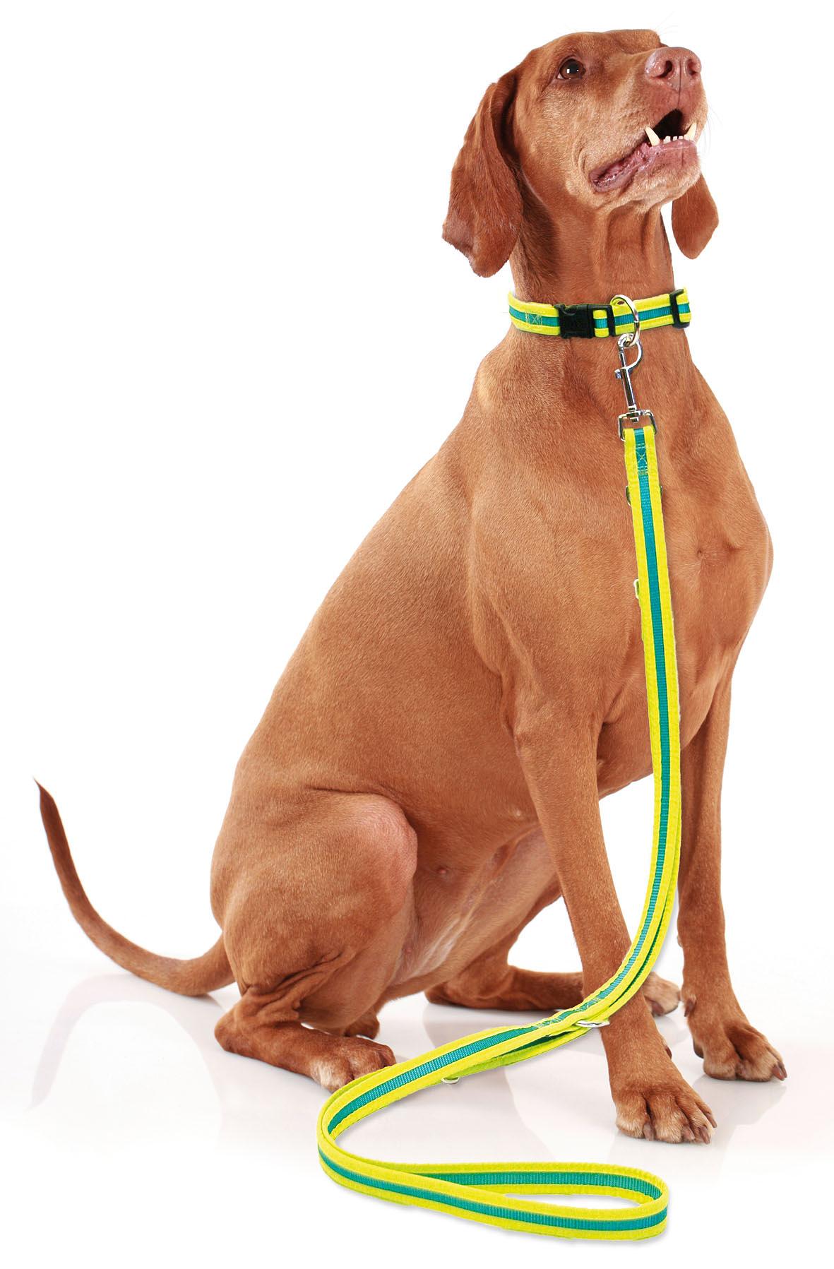 SportLine Reflecto Hundehalsband und Hundeleine