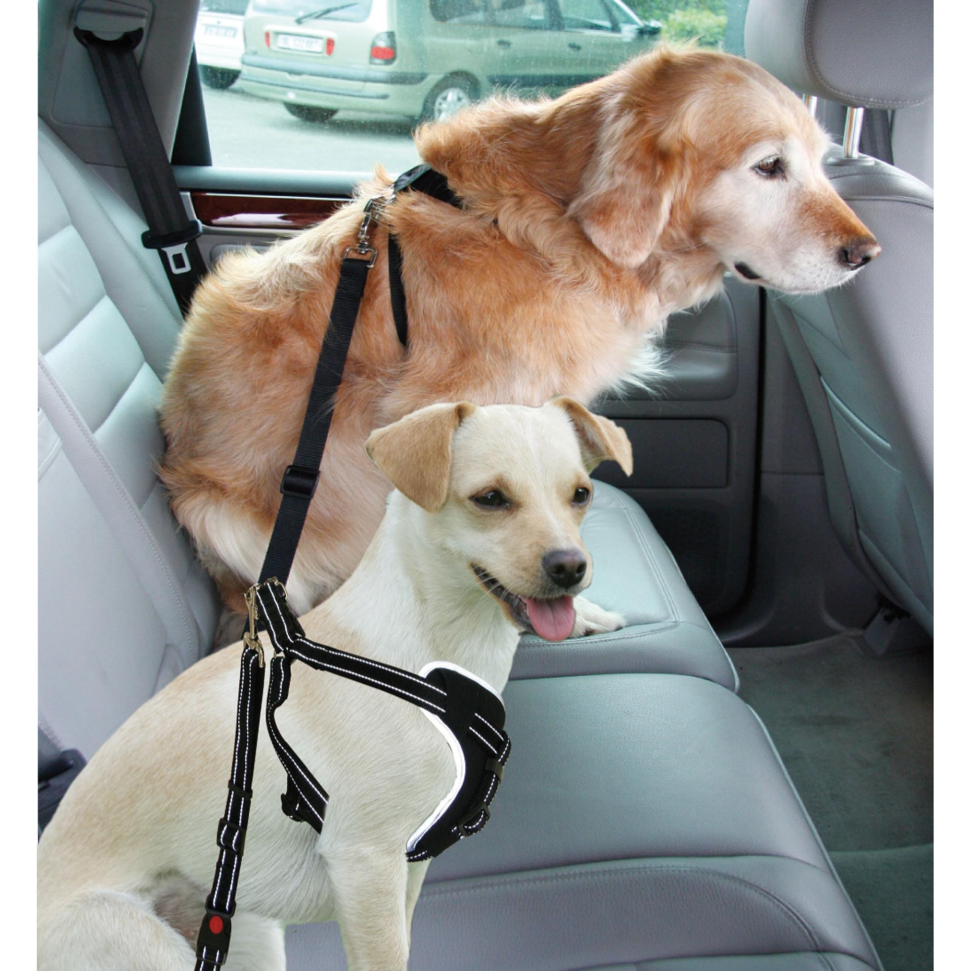 swisspet Hunde-Sicherheitsgeschirr DogSafe