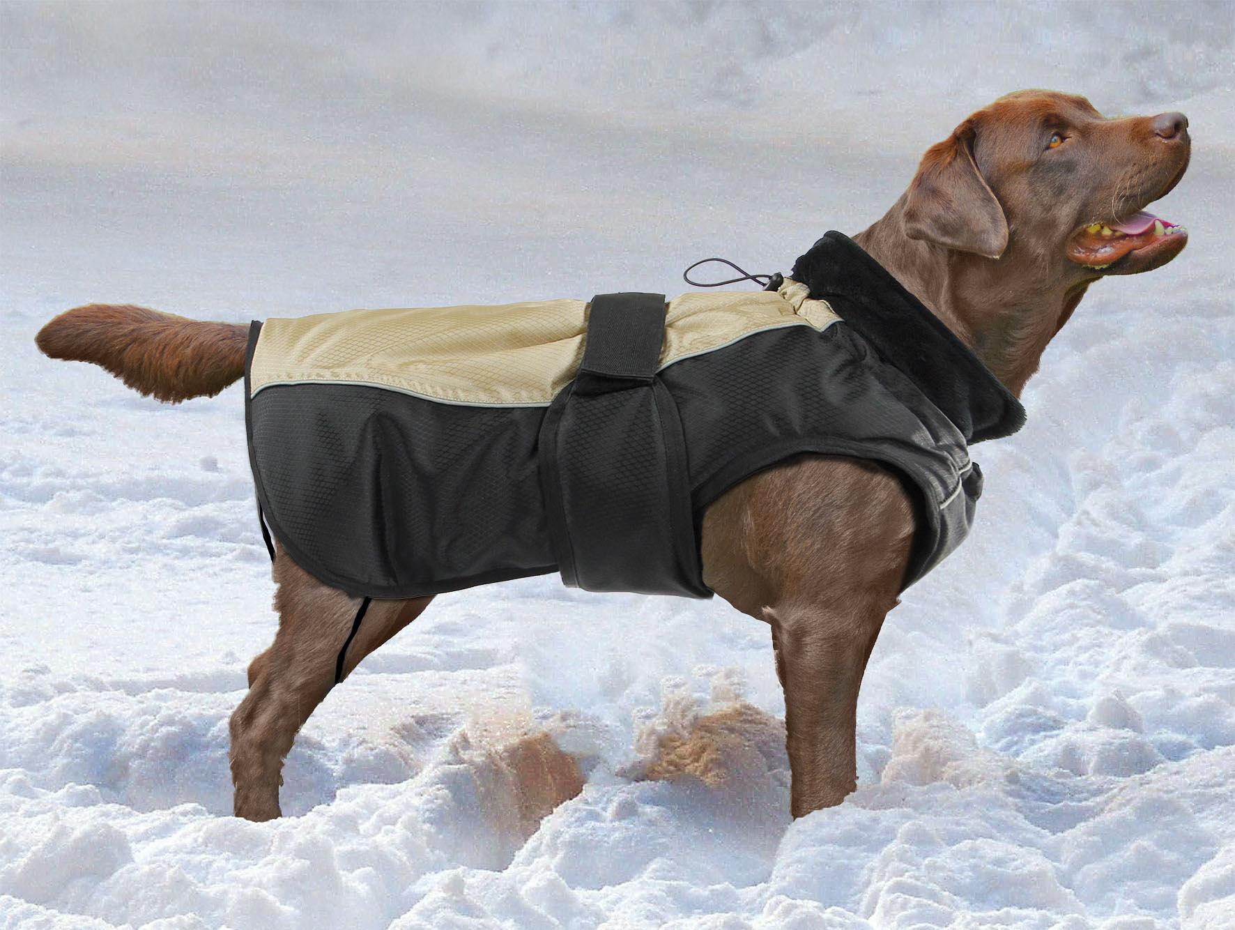 swisspet climaro Winterjacke Jasper für Hunde