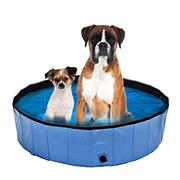 swisspet piscine pour chien Planchi, taille S