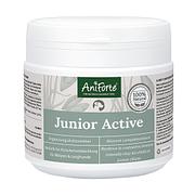 AniForte Junior Active Pulver 250g