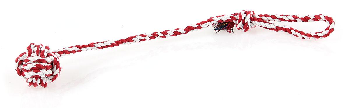 swisspet corde en coton avec noeud