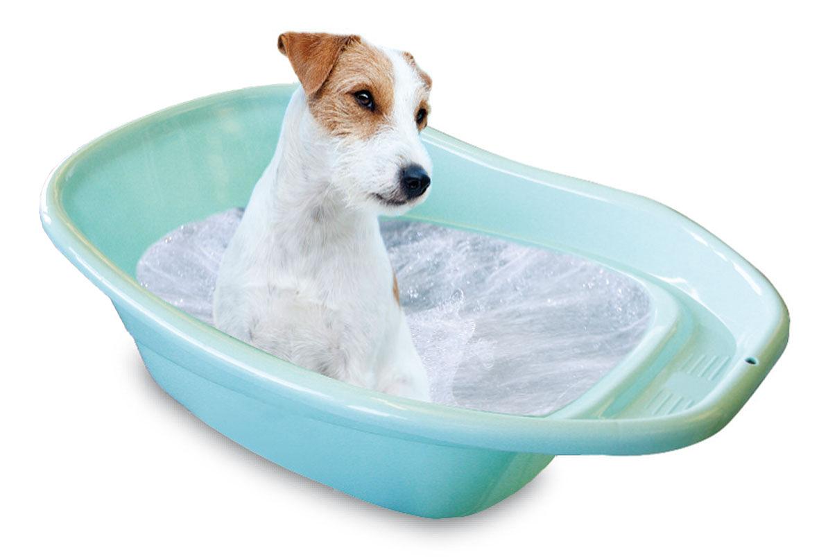swisspet baignoire pour petits chiens
