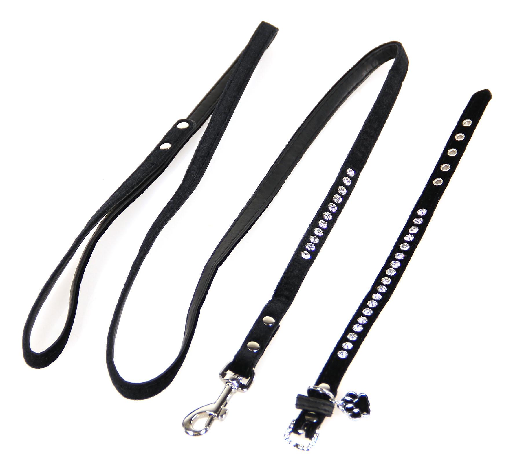 TrendLine Set Azure: Halsband & Leine für Katzen & Hunde