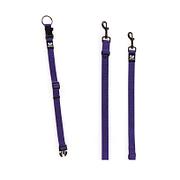 TrendLine ONE Hundehalsband & Hundeleine, violett