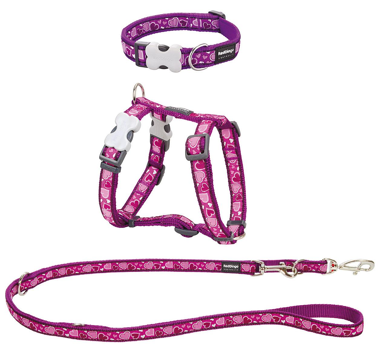 RedDingo Puppy Kit, Breezy Love Purple