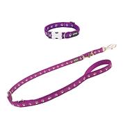 RedDingo collier & laisse Design Desert Paws Purple