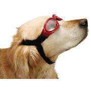 swisspet lunettes de protection pour chiens