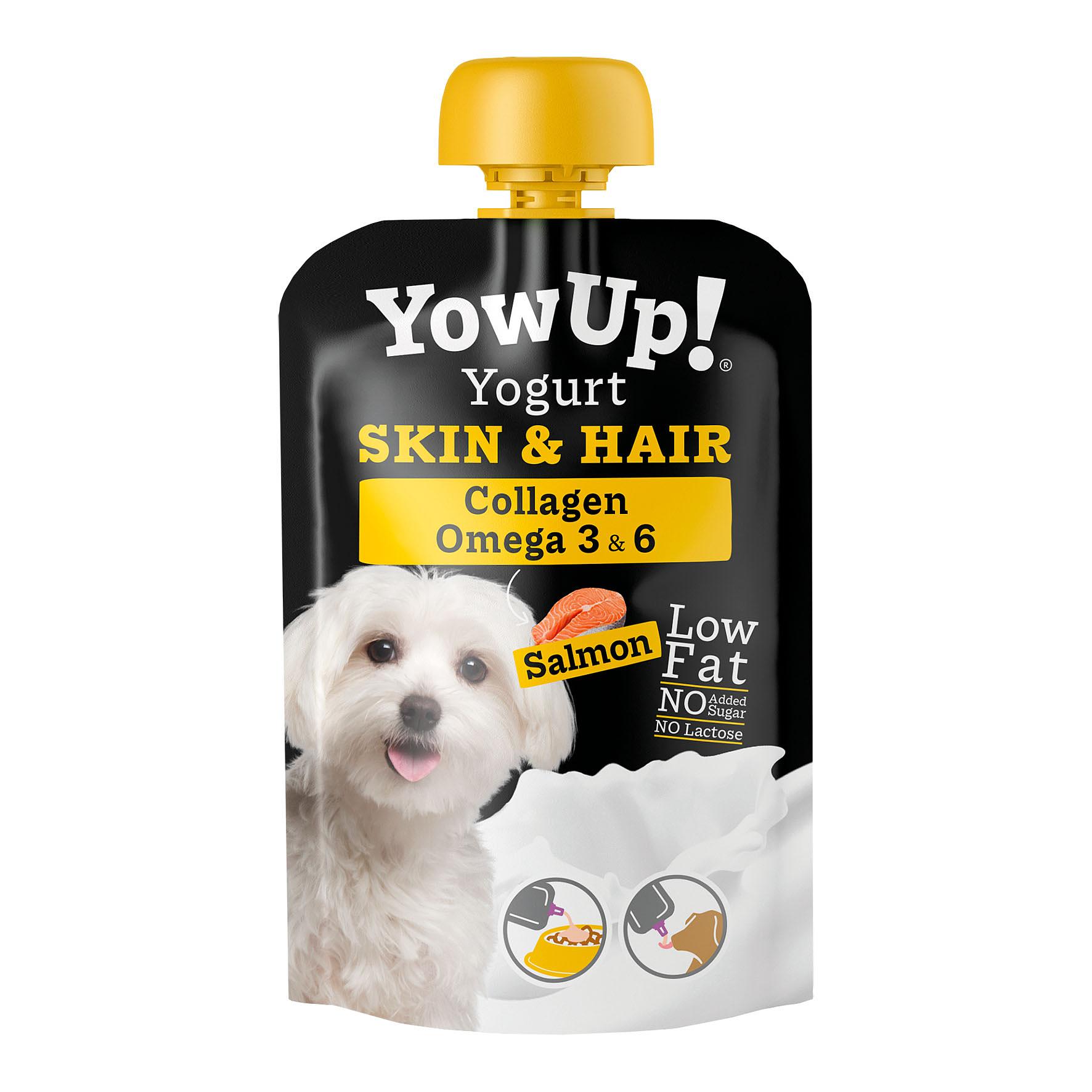 YowUp ! yogourt SKIN&HAIR DOG saumon, 115g