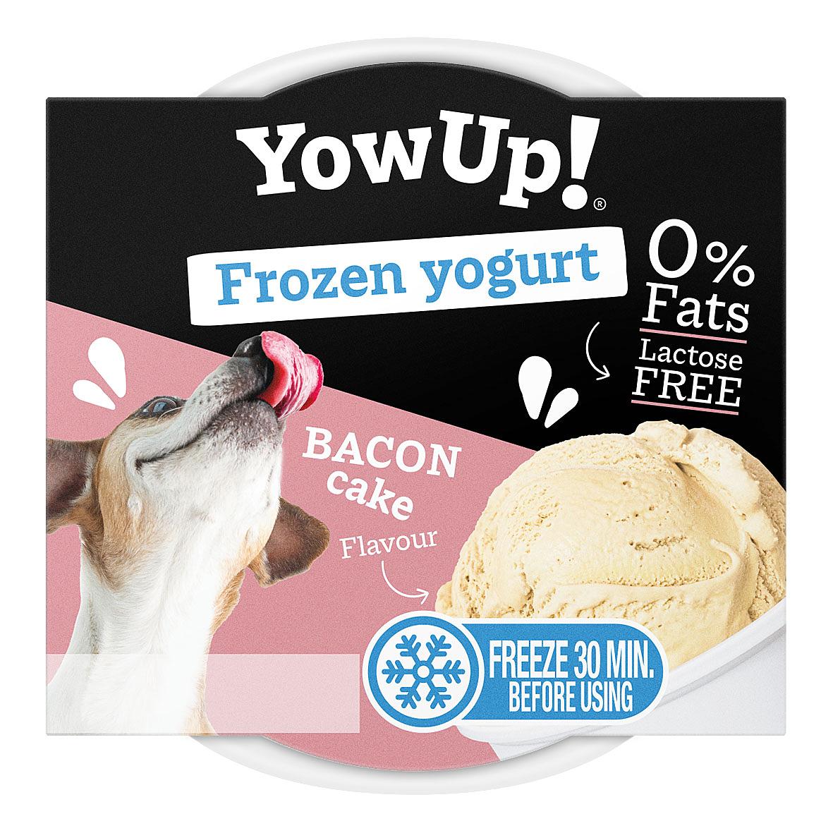 YowUp! Ice Cream Yogurt BACON CAKE, 110g