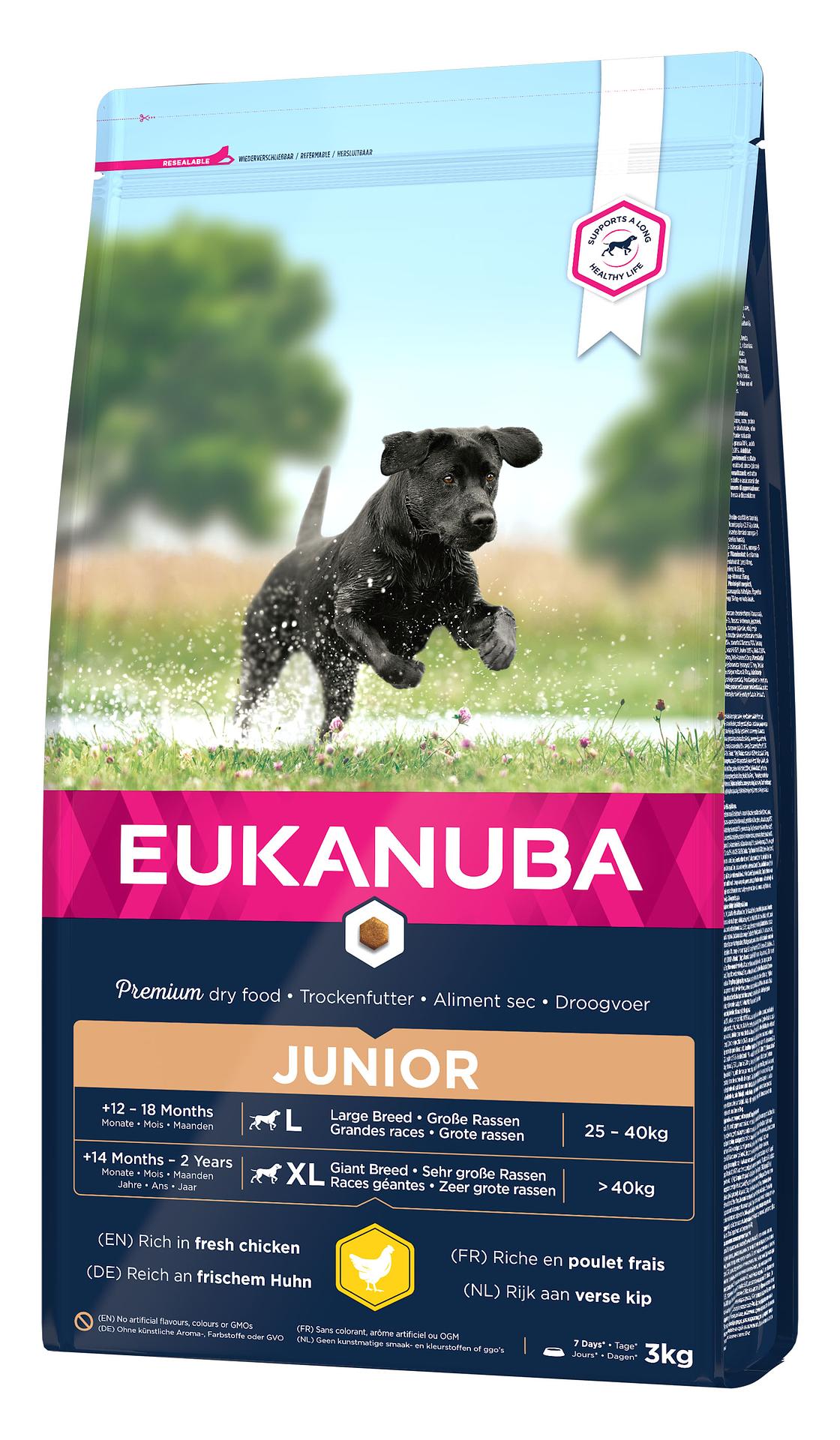 Eukanuba Junior Large