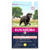 Eukanuba Senior Large, 3kg