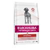 Eukanuba Veterinary Diet Intestinal Adult, 5kg