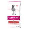 Eukanuba Veterinary Diet Intestinal Adult, 12kg