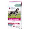 Eukanuba Daily Care Adult Monoprotein Lachs, 12kg